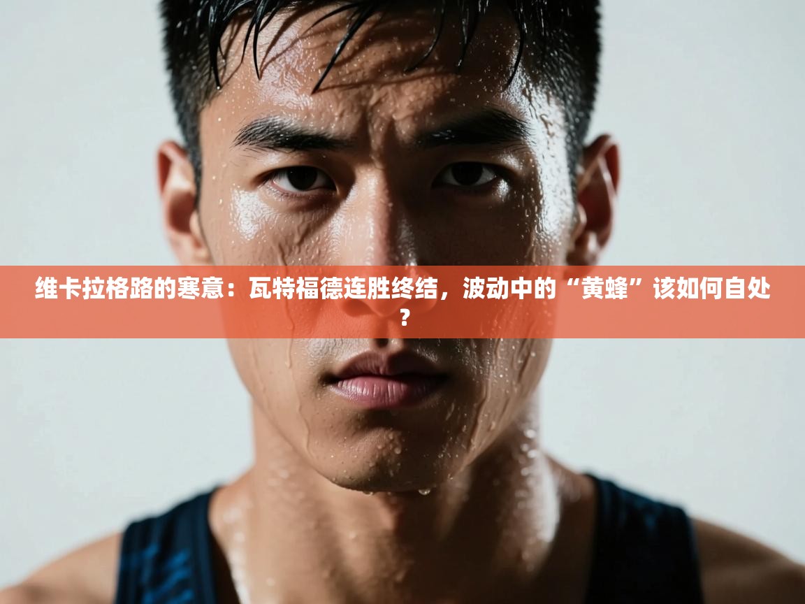 维卡拉格路的寒意：瓦特福德连胜终结，波动中的“黄蜂”该如何自处？  第1张