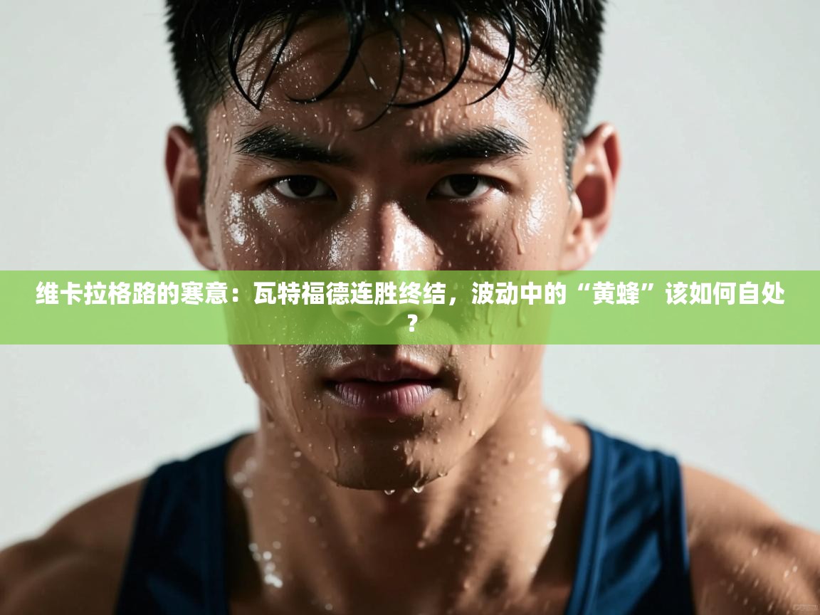 维卡拉格路的寒意：瓦特福德连胜终结，波动中的“黄蜂”该如何自处？  第2张