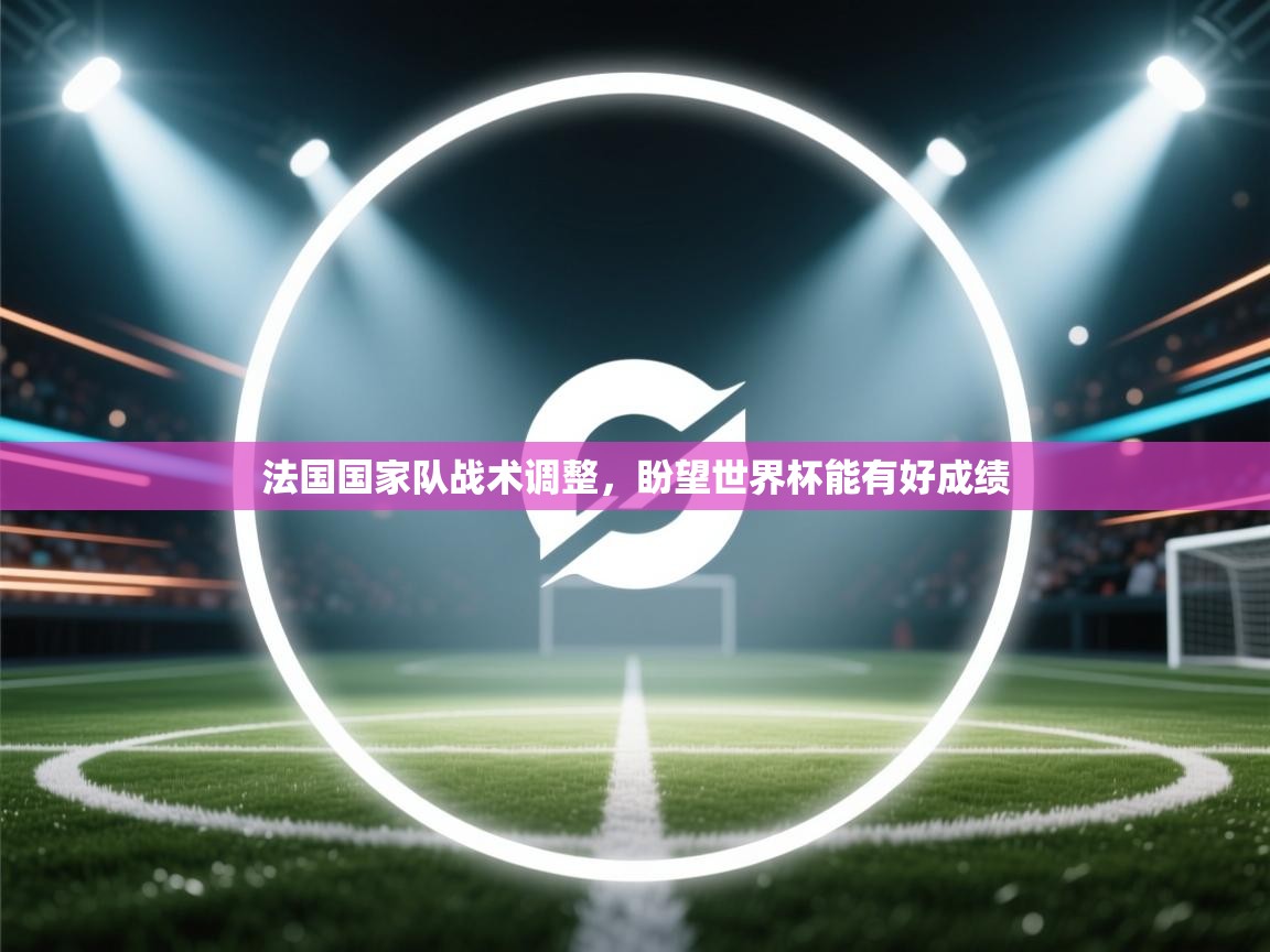 法国国家队战术调整,盼望世界杯能有好成绩 第2张
